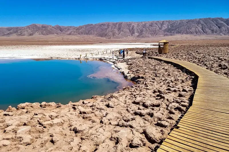 atacama-lagunas-escondidas-baltinache