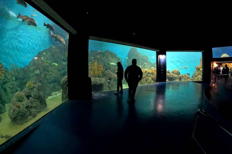 e86f5b8dec7cd5948b05aff81c7355fd