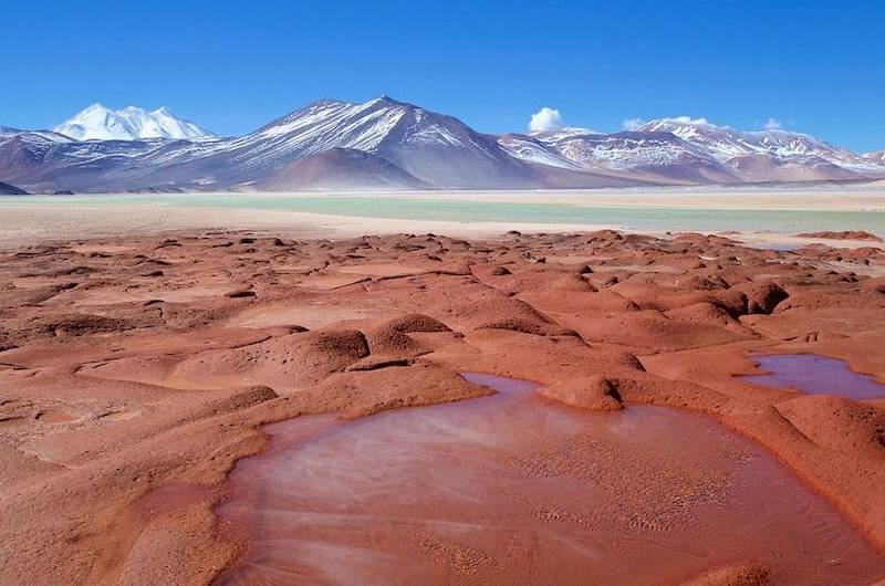 laguna-altiplanica-chile