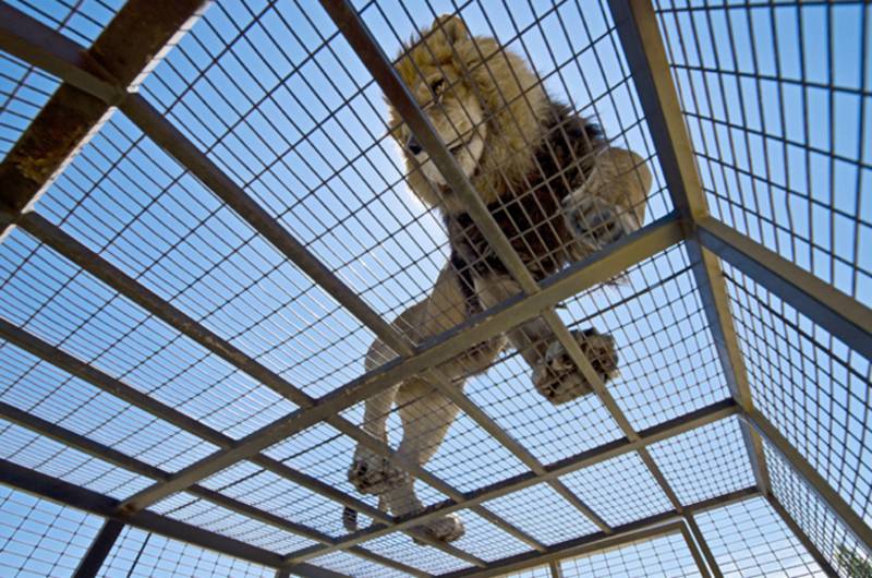 parque-safari-santiago-1-1