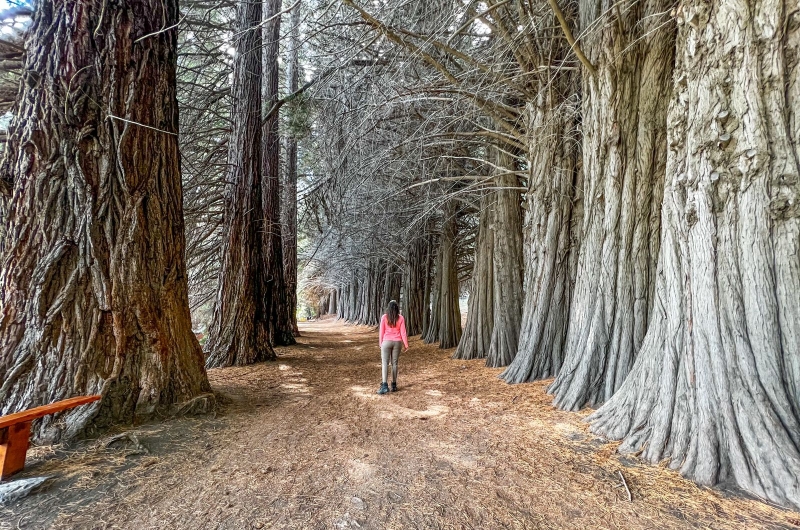 whatsapp-image-2023-05-12-at-07.05.53